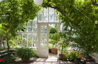 free Giddy Green orangery quotes